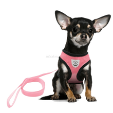 Padded Dog Harness and Leash Set