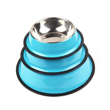 Stainless Steel Colored Dog Bowl