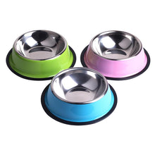 Stainless Steel Colored Dog Bowl