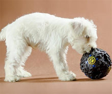 Food Reward Training Ball