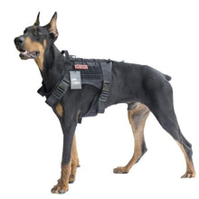 Hiking Dog Harness