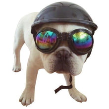 Cool Doggy Motorcycle Brain Bucket