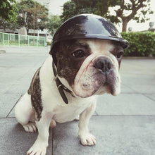 Cool Doggy Motorcycle Brain Bucket