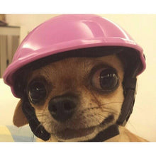 Cool Doggy Motorcycle Brain Bucket