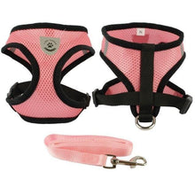 Breathable Padded Mesh Dog Harness and Leash Set