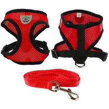 Breathable Padded Mesh Dog Harness and Leash Set