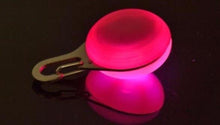 Bright LED Pet Clip