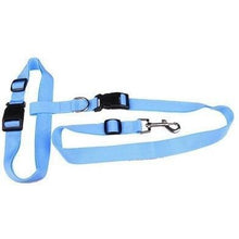 New Adjustable Leash For Runners