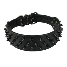 Leather Dog Collar With Spikes
