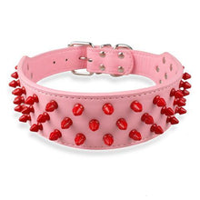 Leather Dog Collar With Spikes