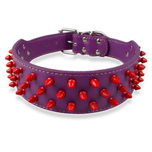 Leather Dog Collar With Spikes