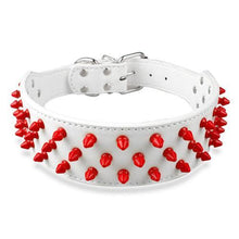 Leather Dog Collar With Spikes