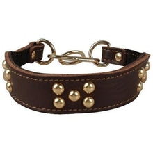 Double Layer Genuine Leather Studded Martingale Dog Collar