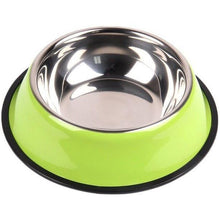 Stainless Steel Colored Dog Bowl