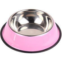 Stainless Steel Colored Dog Bowl