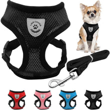 Breathable Padded Mesh Dog Harness and Leash Set